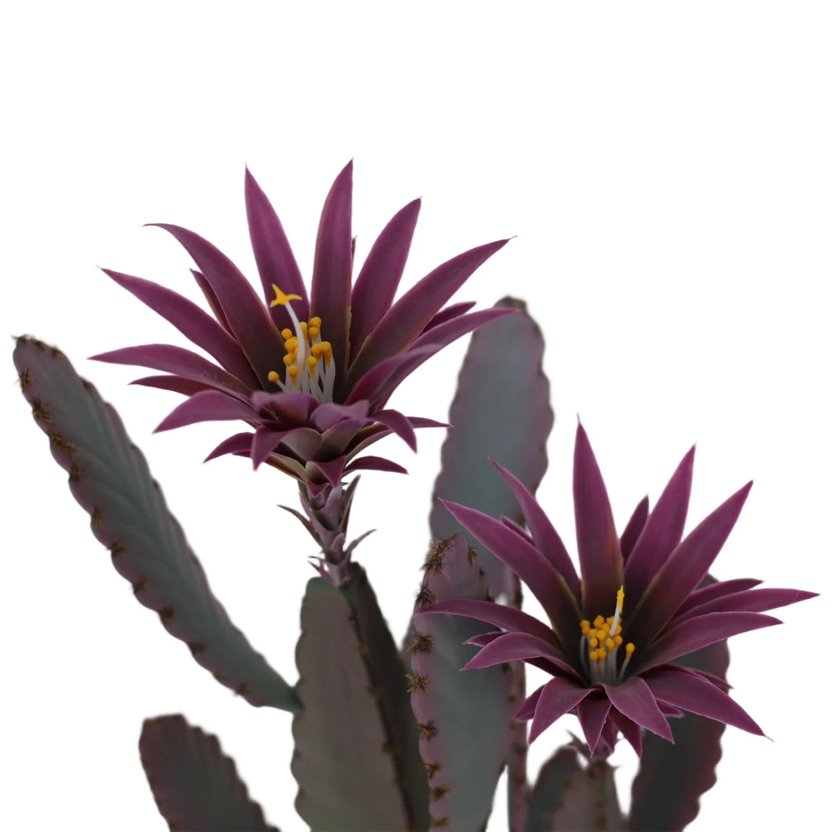 Tall Artificial Cactus Potted Plant 96cm Faux Desert Cacti Fake Big Cactus Plant with Planter for Home Garden Indoor Outdoor