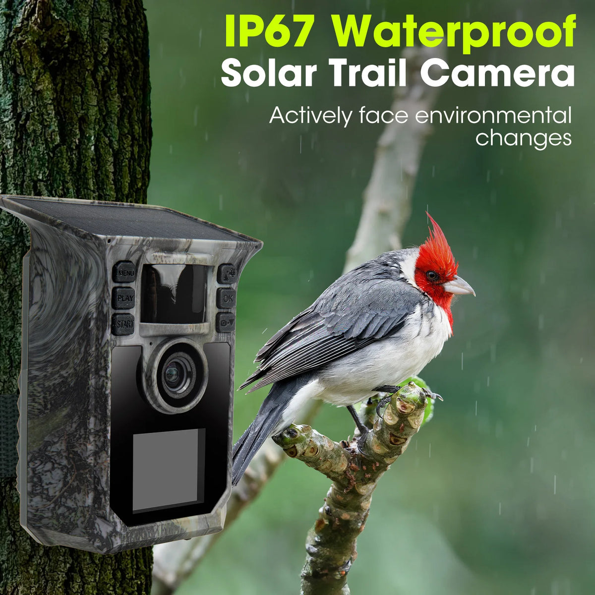 4K Solar Trail Camera With Night Vision And Motion Activated