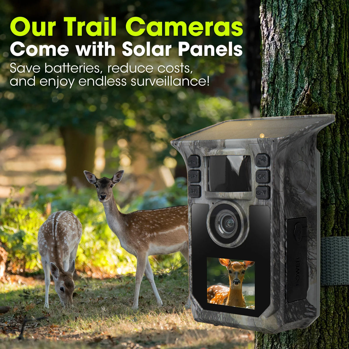 4K Solar Trail Camera With Night Vision And Motion Activated