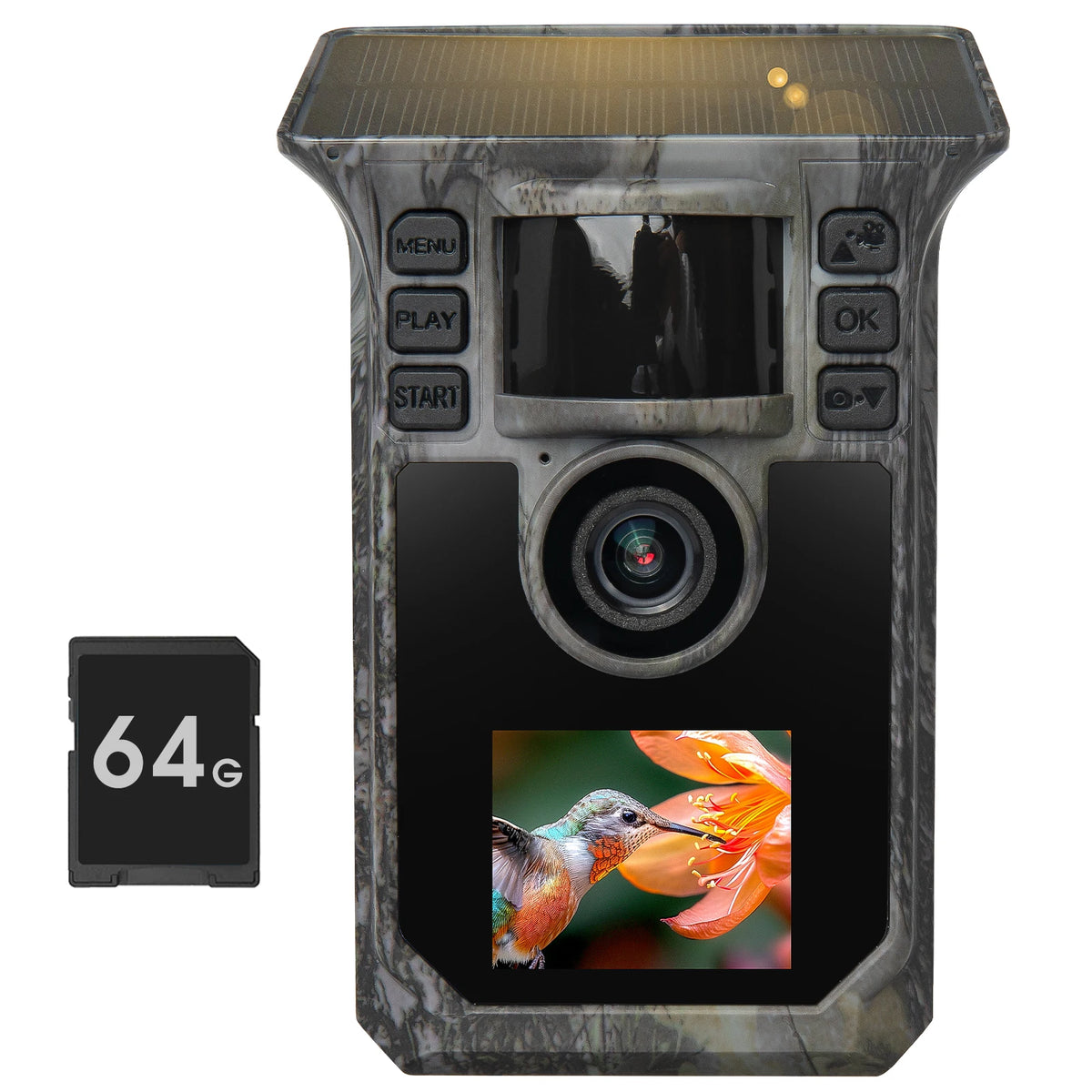 4K Solar Trail Camera With Night Vision And Motion Activated