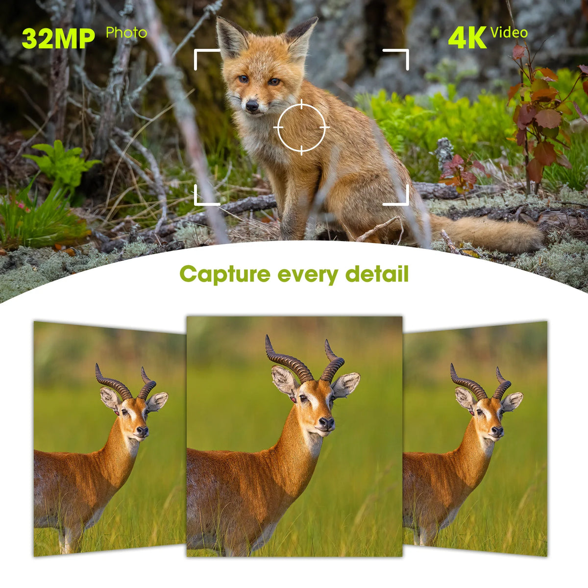 4K Solar Trail Camera With Night Vision And Motion Activated