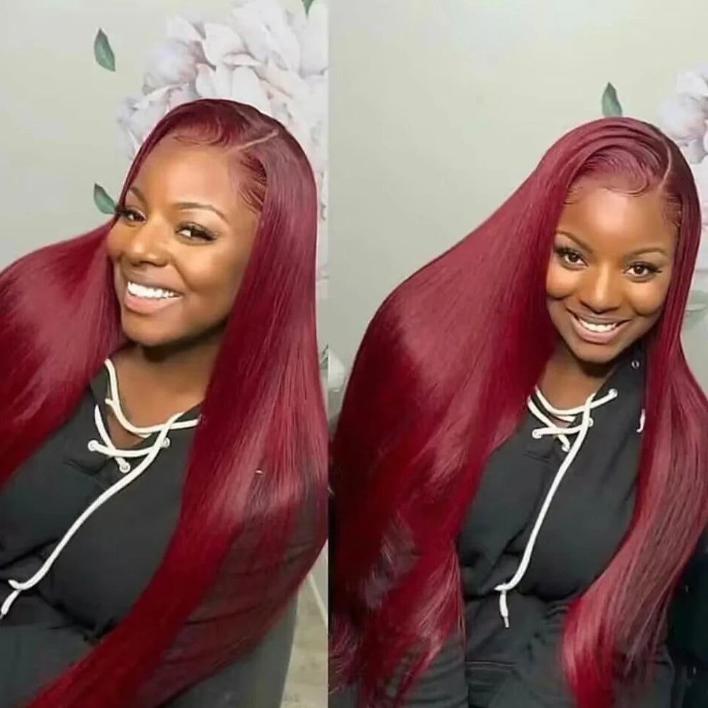 Eddfine Brazilian Remy Straight Human Hair Swiss Lace Front Wig