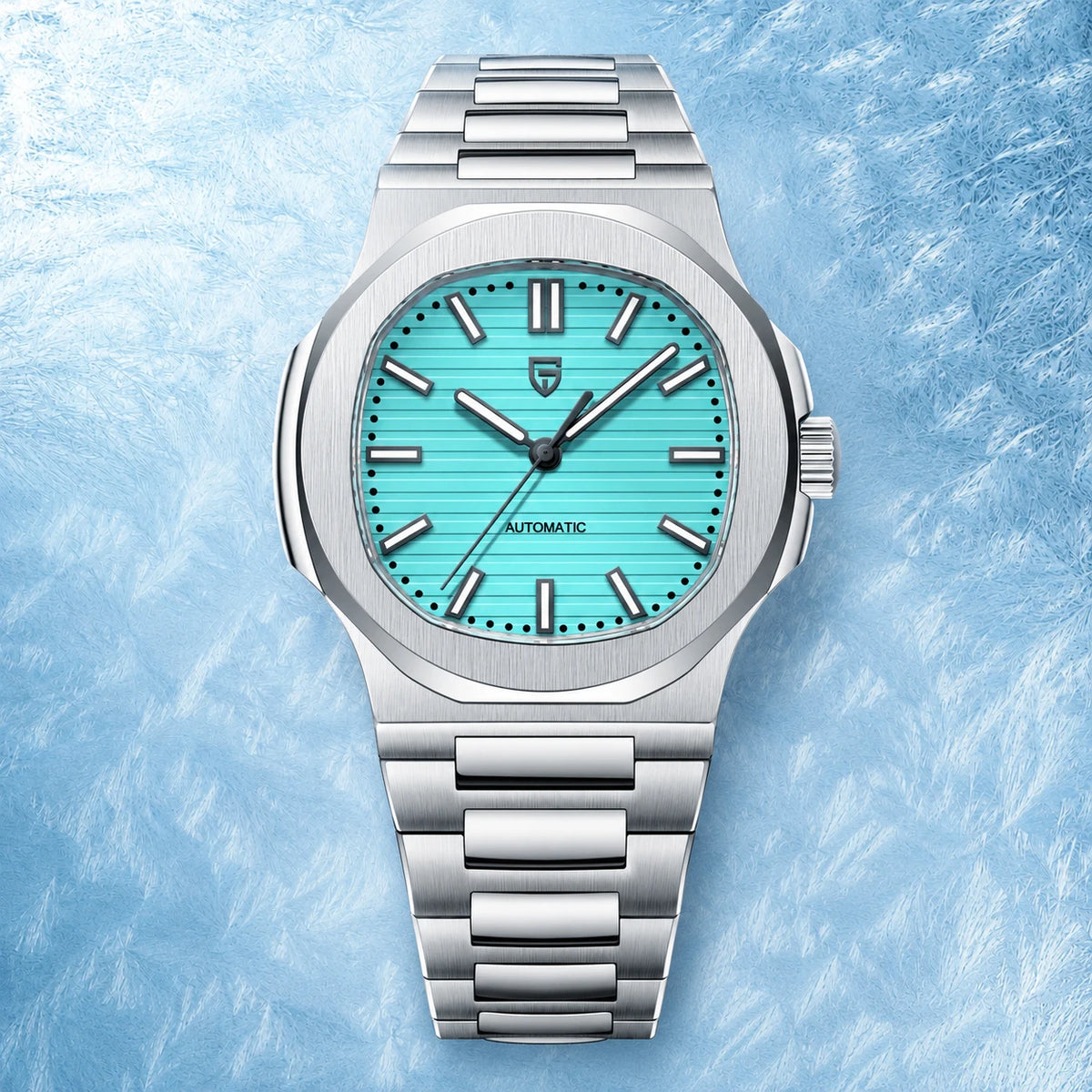 PAGANI DESIGN Automatic Sapphire Crystal Mechanical Watch For Men