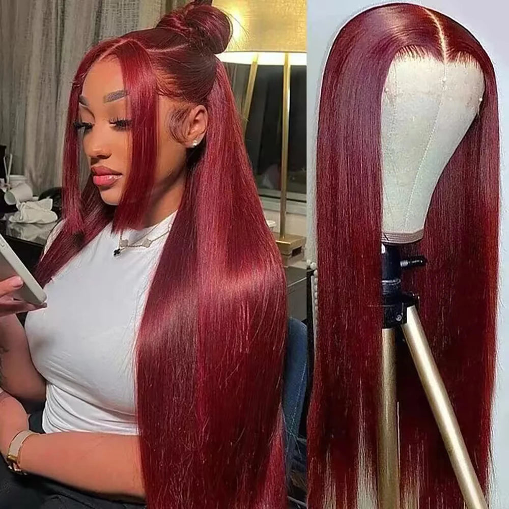 Eddfine Brazilian Remy Straight Human Hair Swiss Lace Front Wig
